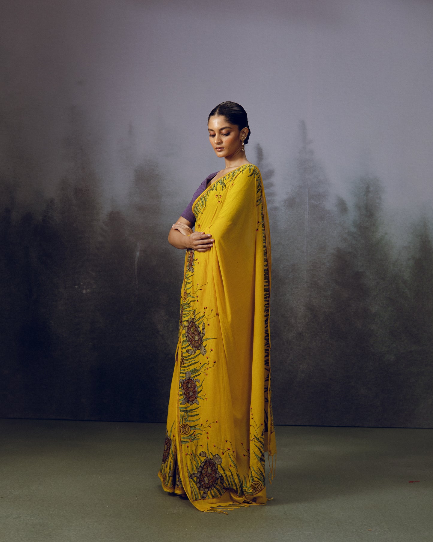 Turtle Saree