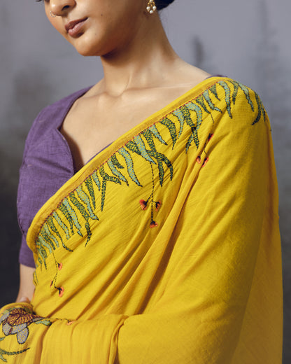 Turtle Saree