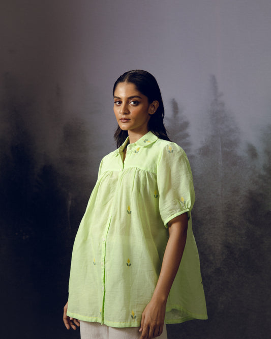 Pistachio Top