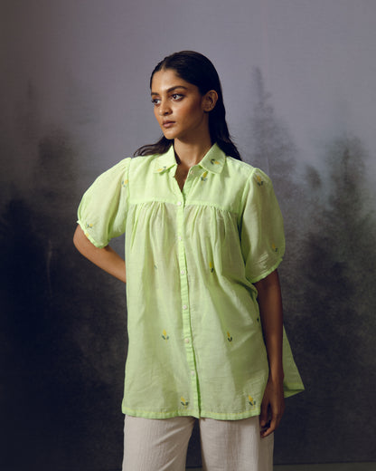 Pistachio Top
