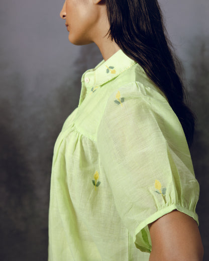 Pistachio Top