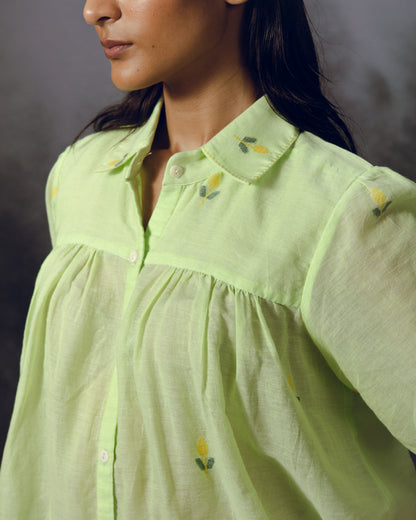 Pistachio Top