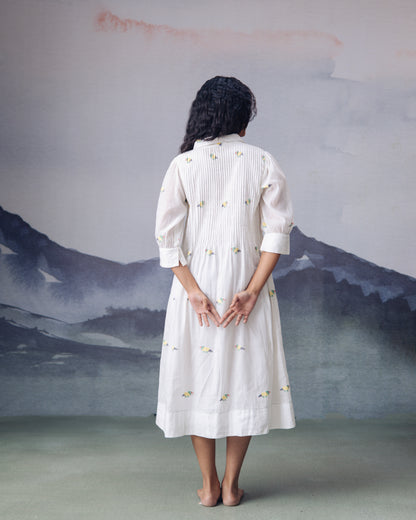Pakhi Dress