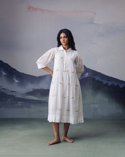 Pakhi Dress