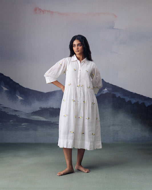 Pakhi Dress