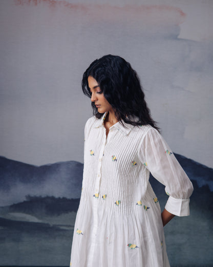 Pakhi Dress