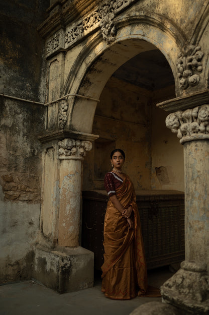 Sujna Saree