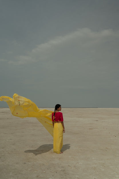 Yellow Daisies Desire Saree
