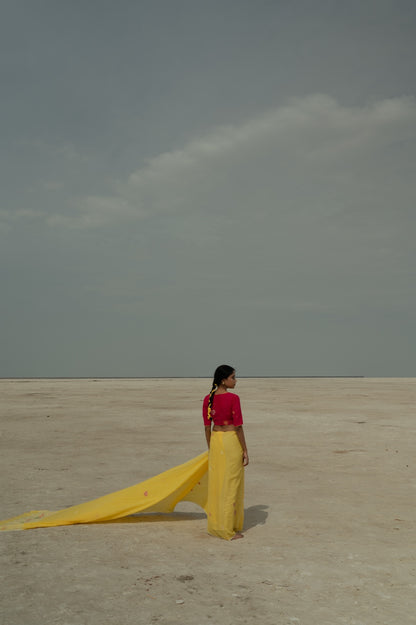 Yellow Daisies Desire Saree