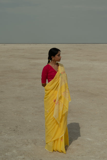 Yellow Daisies Desire Saree
